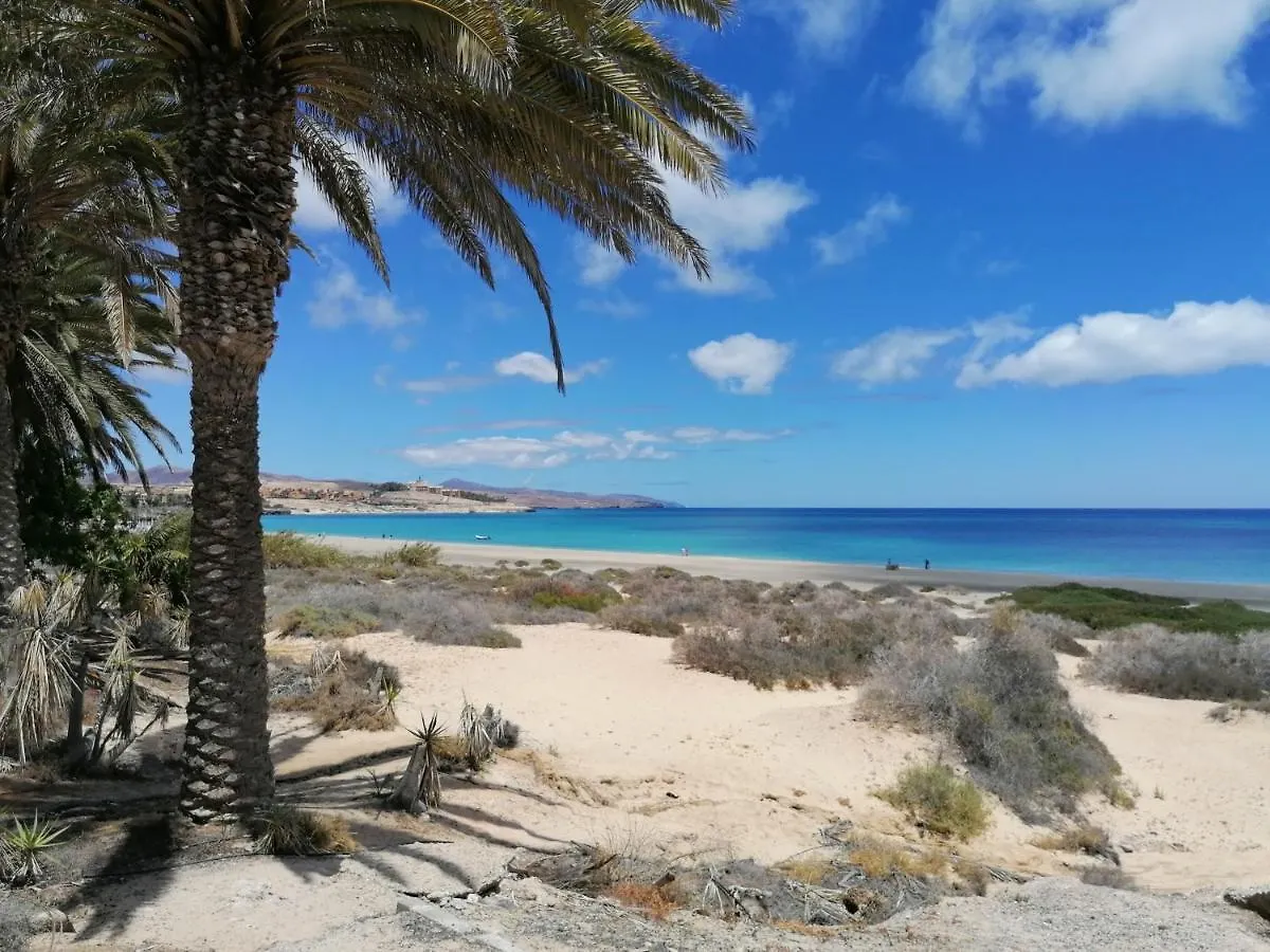 Fisherman S Cove Costa Calma Apartament